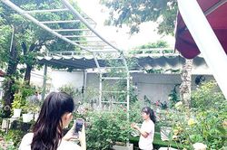 Cà phê hoa hồng níu chân khách yêu hoa