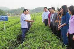 Tập trung phát triển kinh tế - xã hội, thúc đẩy tăng trưởng, nâng cao chất lượng đời sống nhân dân