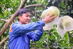 Thanh niên Nghệ An gác bằng đại học vào rừng làm giàu từ trang trại