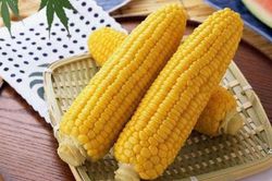 Bắp ngô nhỏ bé nhưng chứa 6 chất dinh dưỡng lớn giúp chống ung thư, ngừa lão hóa