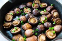 Nấm hương ngăn chặn ung thư cổ tử cung