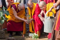 Đức Dalai Lama : 'Thế giới cần liên kết hành động trước biến đổi khí hậu'
