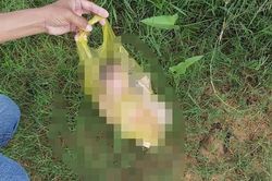 Công an xã phát hiện 1 trẻ sơ sinh nằm khóc trong túi ni lông