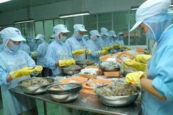 Kiến nghị giảm kinh phí công đoàn xuống còn tối đa 1% quỹ tiền lương