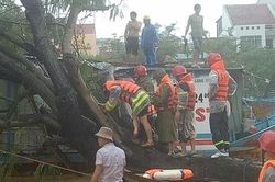 Giải cứu 3 người mắc kẹt trong thuyền rồng bị cây gãy đè trúng