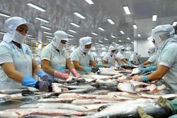 Việt Nam nỗ lực chống khai thác thủy hải sản bất hợp pháp IUU