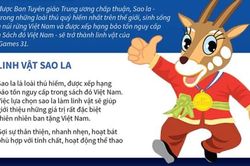 Đề xuất sao la là linh vật biểu tượng của SEA Games 31