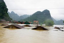 Bão, lũ và tình người
