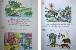 'Sạn' trong SGK Tiếng Việt 1: Hội đồng thẩm định ở đâu?
