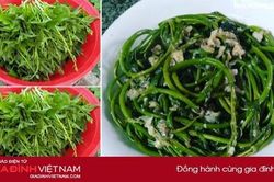 Tác dụng 'thần kỳ' của rau khoai lang với sức khỏe