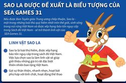 Đề xuất sao la là linh vật biểu tượng của SEA Games 31