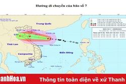 Tin bão khẩn cấp – Cơn bão số 7