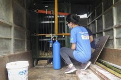 Chuyển giao 1 cá thể gấu nuôi nhốt 15 năm