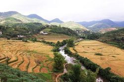 Lần đầu tiên tổ chức lễ hội 'Mùa vàng vùng cao Đại Dự'
