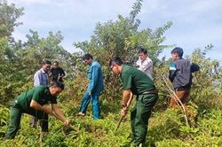 Phát động toàn dân phá nhổ cây lá ngón