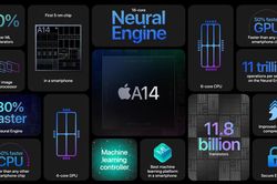 iPhone 12 và iPhone 12 mini chính thức ra mắt: Đều được hỗ trợ 5G