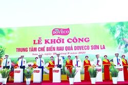 DOVECO - người đơm quả ngọt trên những 'vùng đất hứa'