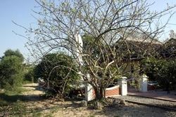 Chùa Ba Đồn, một di tích văn hóa và lịch sử
