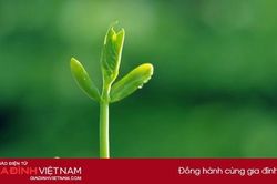 Vạn sự trên đời đều nhân quả, cơ hội tốt xuất phát từ bản thân