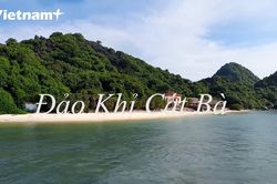 Khám phá cuộc sống của loài khỉ mặt đỏ trên đảo Khỉ ở Cát Bà