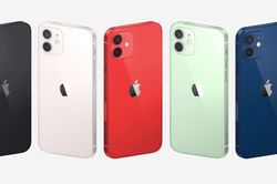 iPhone 12 mini và iPhone 12 vừa ra mắt với màu xanh dương khiến ai nhìn cũng muốn móc hầu bao