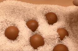 Con dâu nhét trứng vào thùng gạo, mẹ chồng khó hiểu, hỏi ra mới vỡ lẽ