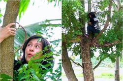 'Bà trùm một thời' Kim Thư trèo lên cây xoan, hái lá đắng ngắt về làm món lạ