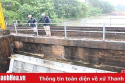 Thanh Hóa chủ động các biện pháp tiêu thoát nước, bảo vệ cây trồng