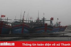 Hoằng Hóa chủ động các giải pháp hạn chế thiệt hại do bão số 7 gây ra