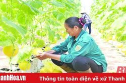 Nâng cao chất lượng sản phẩm nông nghiệp – yếu tố quan trọng trong phát triển thương hiệu