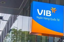 Người nhà sếp VIB đua gom cổ phiếu
