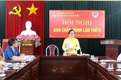 Hội nghị Ban Chấp hành Hội Bảo trợ người tàn tật và trẻ mồ côi tỉnh lần thứ 9