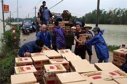 Tổng hợp về công tác phòng chống và hậu quả do mưa lũ gây ra