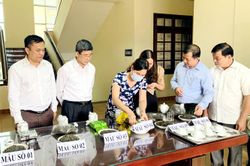 Đánh giá chất lượng cảm quan sản phẩm chè Shan tuyết Na Hang