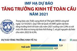 IMF hạ dự báo tăng trưởng kinh tế toàn cầu năm 2021