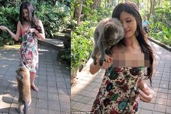 Bỗng dưng bị động vật 'sàm sỡ', chị em hoang mang, cáu kỉnh