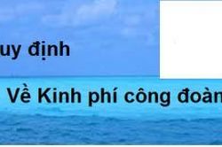 8 hiệp hội doanh nghiệp kiến nghị giảm kinh phí công đoàn xuống còn tối đa 1% quỹ tiền lương