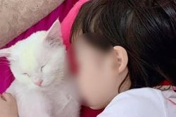 Bé gái thắt cổ tự tử vì học theo clip trên mạng