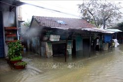 Triển khai đồng bộ các giải pháp phòng, chống áp thấp nhiệt đới tại Quảng Nam