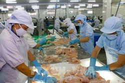 Xuất khẩu thủy sản sang EU năm 2020 dự báo giảm 20%