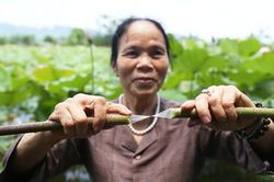 Người Việt Nam đầu tiên bắt sen nhả tơ để dệt thành khăn bán 10 triệu đồng/chiếc