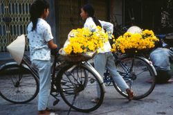 Những hình ảnh về xe đạp 'thần thánh' ở Hà Nội năm 1990