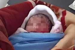 Xác định mẹ bé gái sơ sinh bị bỏ rơi ở ruộng khoai