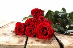 Lời chúc ngày Phụ nữ Việt Nam 20/10 dành tặng người yêu, bạn gái lãng mạn nhất