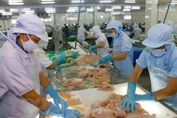 Dự báo kim ngạch xuất khẩu thủy sản sang thị trường EU giảm 20%