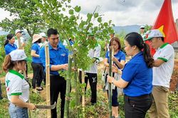 Tuổi trẻ hưởng ứng bảo vệ môi trường