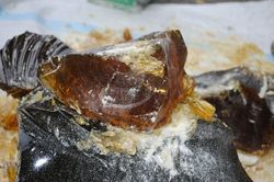 Thuốc chữa bệnh từ nhựa cây