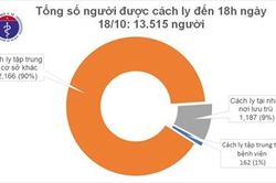 Thêm 8 ca mắc Covid-19 mới được cách ly ngay khi nhập cảnh vào Việt Nam