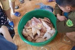 Phụ huynh tố thịt gà ôi thiu đưa vào trường mầm non ở Phú Thọ