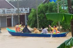 Hơn 6 triệu tin nhắn trong đêm hỗ trợ, ứng cứu dân vùng thiên tai